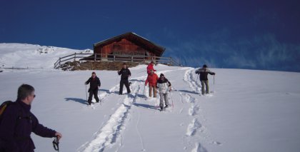 naturhotel-urlaubsfotos-winter-2010-9-bis-15-jaenner bild#27