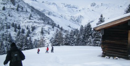 naturhotel-urlaubsfotos-winter-2010-24-bis-30-jaenner bild#6