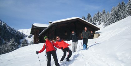 naturhotel-urlaubsfotos-winter-2010-24-bis-30-jaenner bild#16