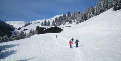 naturhotel-urlaubsfotos-winter-2010-24-bis-30-jaenner bild#17