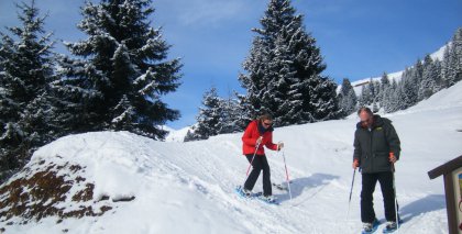 naturhotel-urlaubsfotos-winter-2010-24-bis-30-jaenner bild#19