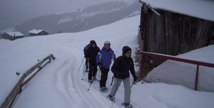 naturhotel-urlaubsfotos-winter-2010-24-bis-30-jaenner bild#86