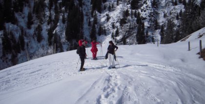 naturhotel-urlaubsfotos-winter-2010-28-februar-bis-6-maerz bild#41