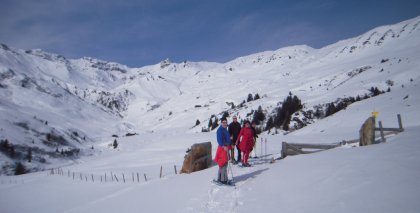 naturhotel-urlaubsfotos-winter-2010-28-februar-bis-6-maerz bild#46