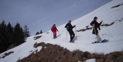 naturhotel-urlaubsfotos-winter-2010-28-februar-bis-6-maerz bild#57