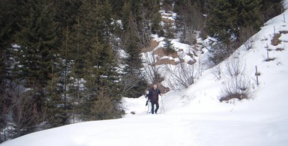 naturhotel-urlaubsfotos-winter-2010-28-februar-bis-6-maerz bild#59