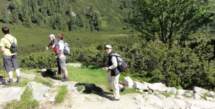 naturhotel-urlaubsfotos-sommer-2010-20-bis-26-juni bild#7