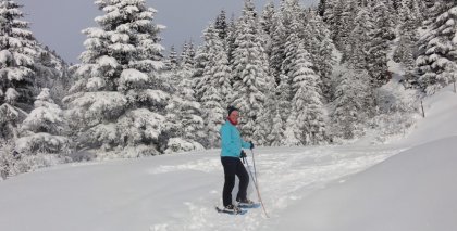 naturhotel-urlaubsfotos-winter-2011-26-dezember-bis-2-jaenner bild#1