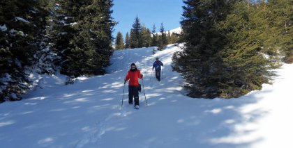 naturhotel-urlaubsfotos-winter-2011-26-dezember-bis-2-jaenner bild#28