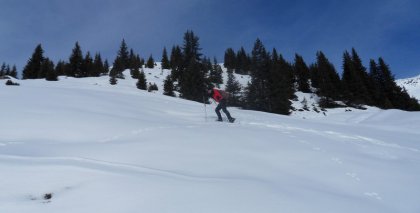 naturhotel-urlaubsfotos-winter-2011-2-bis-8-jaenner bild#13