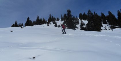 naturhotel-urlaubsfotos-winter-2011-2-bis-8-jaenner bild#14