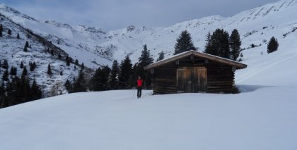 naturhotel-urlaubsfotos-winter-2011-2-bis-8-jaenner bild#18