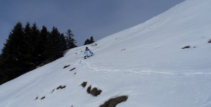 naturhotel-urlaubsfotos-winter-2011-2-bis-8-jaenner bild#20