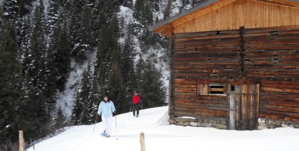 naturhotel-urlaubsfotos-winter-2011-2-bis-8-jaenner bild#21