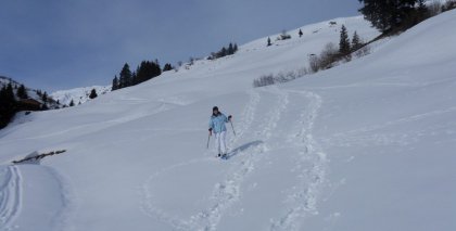 naturhotel-urlaubsfotos-winter-2011-2-bis-8-jaenner bild#22