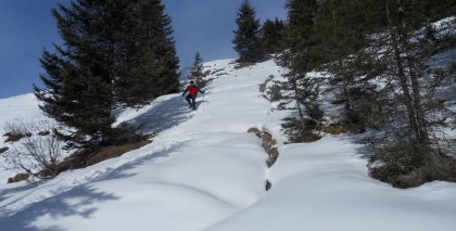 naturhotel-urlaubsfotos-winter-2011-2-bis-8-jaenner bild#25