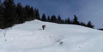 naturhotel-urlaubsfotos-winter-2011-2-bis-8-jaenner bild#27