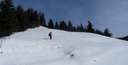naturhotel-urlaubsfotos-winter-2011-2-bis-8-jaenner bild#28