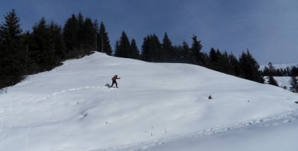naturhotel-urlaubsfotos-winter-2011-2-bis-8-jaenner bild#29