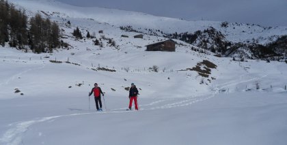 naturhotel-urlaubsfotos-winter-2011-2-bis-8-jaenner bild#69
