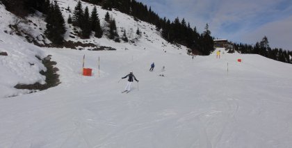 naturhotel-urlaubsfotos-winter-2011-9-bis-15-jaenner bild#8