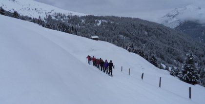 naturhotel-urlaubsfotos-winter-2011-23-bis-29-jaenner bild#48