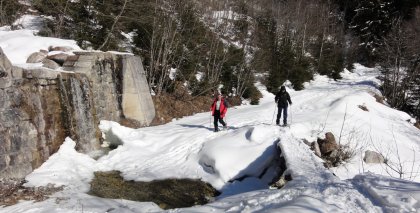 naturhotel-urlaubsfotos-winter-2011-27-februar-bis-5-maerz bild#28