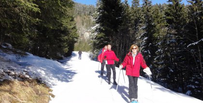 naturhotel-urlaubsfotos-winter-2011-27-februar-bis-5-maerz bild#33