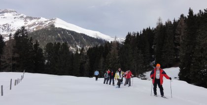 naturhotel-urlaubsfotos-winter-2011-27-februar-bis-5-maerz bild#57