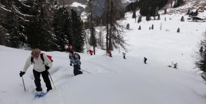 naturhotel-urlaubsfotos-winter-2011-27-februar-bis-5-maerz bild#64