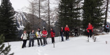 naturhotel-urlaubsfotos-winter-2011-27-februar-bis-5-maerz bild#67