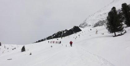 naturhotel-urlaubsfotos-winter-2011-27-februar-bis-5-maerz bild#82