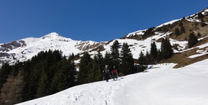 naturhotel-urlaubsfotos-winter-2011-6-bis-12-maerz bild#46