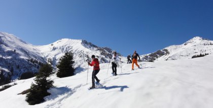 naturhotel-urlaubsfotos-winter-2011-6-bis-12-maerz bild#52