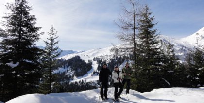 naturhotel-urlaubsfotos-winter-2011-20-bis-26-maerz bild#12