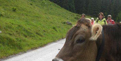 naturhotel-urlaubsfotos-sommer-2011-19-bis-25-juni bild#14