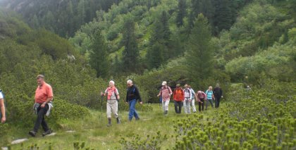 naturhotel-urlaubsfotos-sommer-2011-19-bis-25-juni bild#25