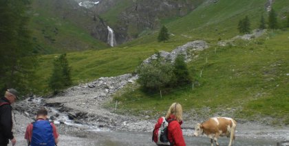 naturhotel-urlaubsfotos-sommer-2011-19-bis-25-juni bild#50
