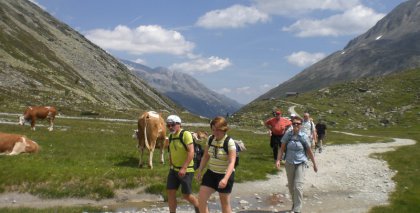 naturhotel-urlaubsfotos-sommer-2011-19-bis-25-juni bild#110