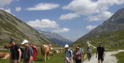 naturhotel-urlaubsfotos-sommer-2011-19-bis-25-juni bild#112