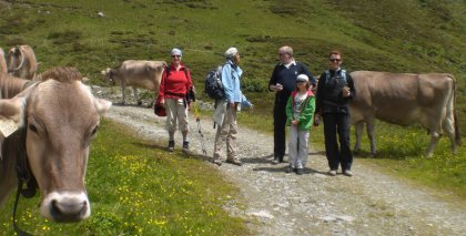 naturhotel-urlaubsfotos-sommer-2011-26-juni-bis-2-juli bild#11