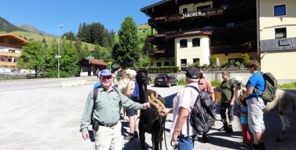 naturhotel-urlaubsfotos-sommer-2011-26-juni-bis-2-juli bild#71