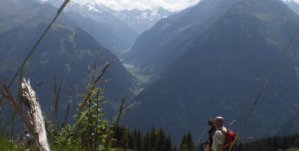 naturhotel-urlaubsfotos-sommer-2011-31-juli-bis-6-august bild#68