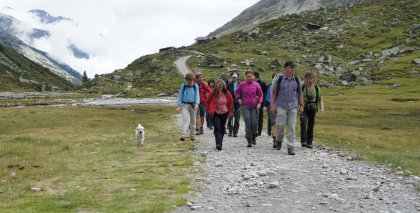 naturhotel-urlaubsfotos-sommer-2011-7-bis-13-august bild#57