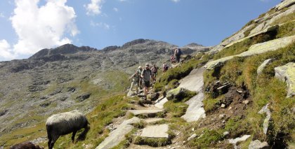 naturhotel-urlaubsfotos-sommer-2011-21-bis-27-august bild#159