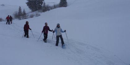 naturhotel-urlaubsfotos-winter-2012-2912-3012 bild#59