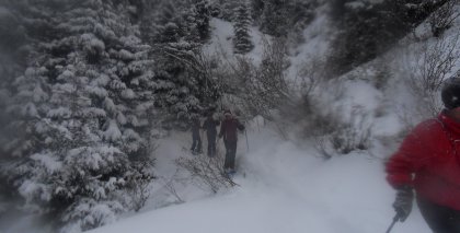 naturhotel-urlaubsfotos-winter-2012-2912-3012 bild#65