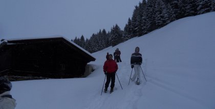 naturhotel-urlaubsfotos-winter-2012-2912-3012 bild#68