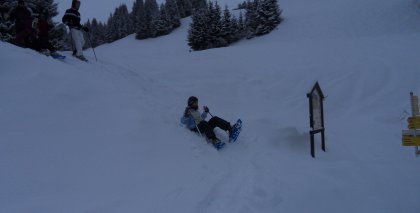 naturhotel-urlaubsfotos-winter-2012-2912-3012 bild#73
