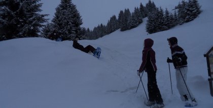 naturhotel-urlaubsfotos-winter-2012-2912-3012 bild#75